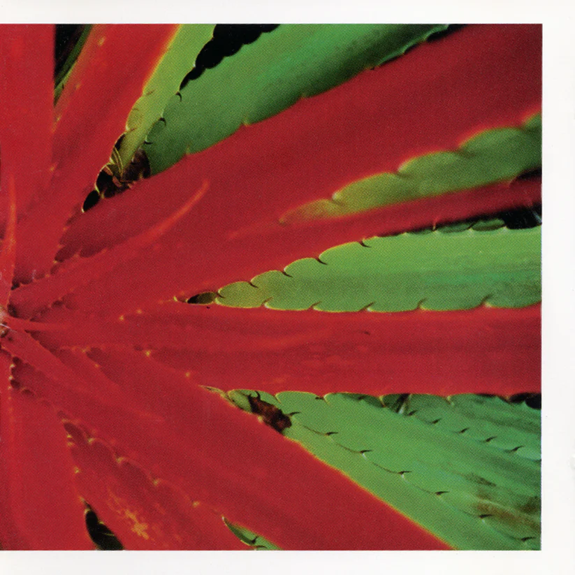 JEJUNE / THIS AFTERNOONS MALADY (2LP)