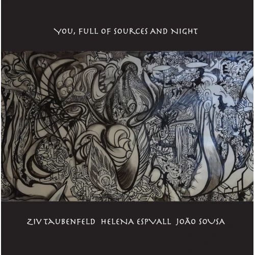 ZIV TAUBENFELD / You, Full Of Sources And Night
