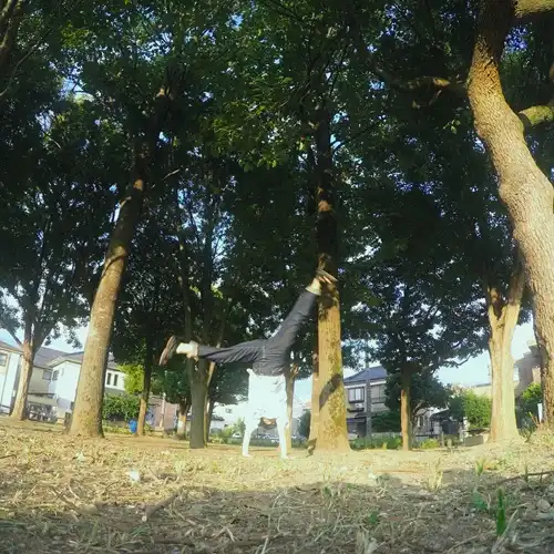 まよ / なんだか少し分かったような気がする