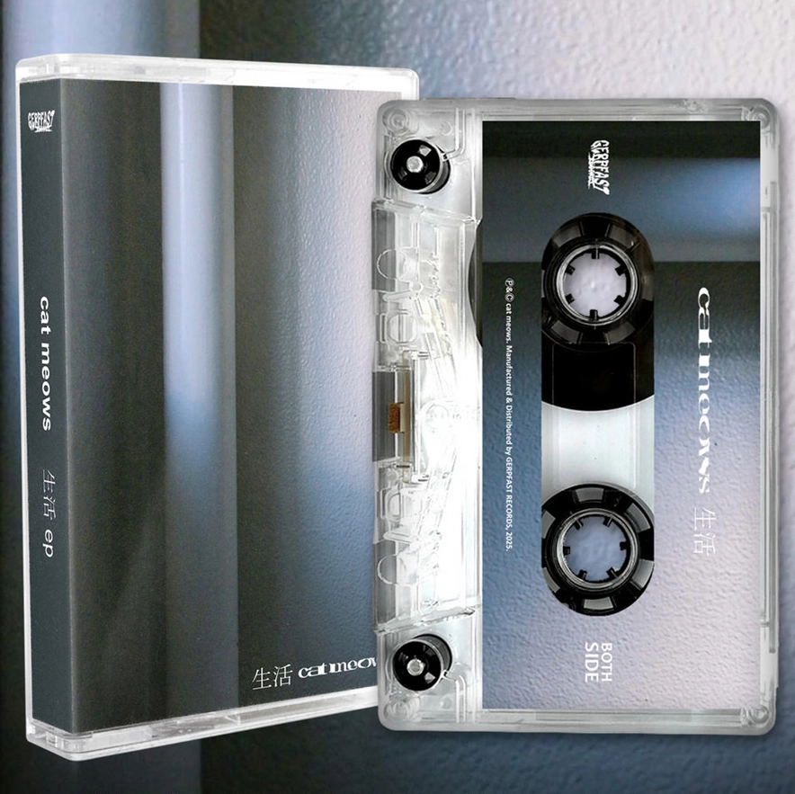 シューゲイザー｜JAPANESE ROCK・POPS / INDIES｜ディスクユニオン