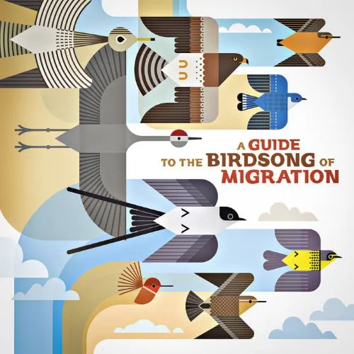 V.A. (A GUIDE TO THE BIRDSONG) / オムニバス商品一覧｜LATIN/BRAZIL
