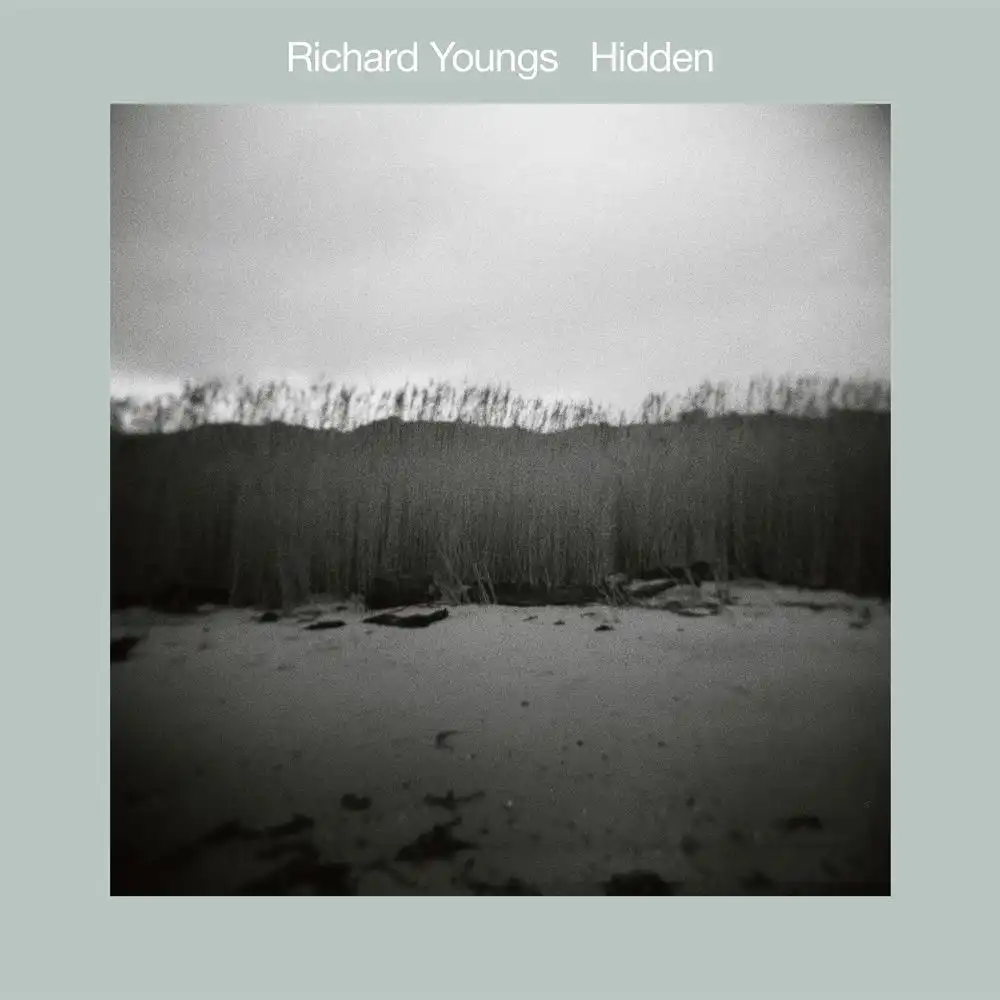 RICHARD YOUNGS / リチャード・ヤングス / HIDDEN