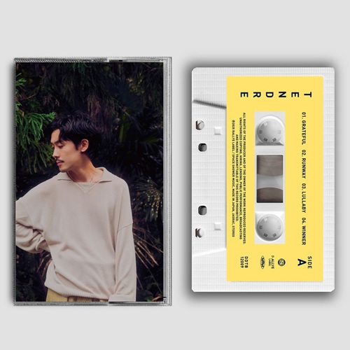 フィルム付き　パスピエ　インディーズ時代アルバム　ブンシンノジュツ フィルム付き パスピエ インディーズ時代アルバム ブンシンノジュツ