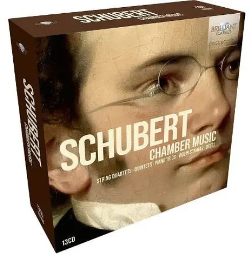 VARIOUS ARTISTS (CLASSIC) / オムニバス (CLASSIC) / SCHUBERT:CHAMBER MUSIC