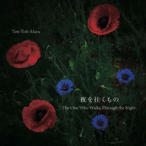 天藤丸 / 夜を往くもの