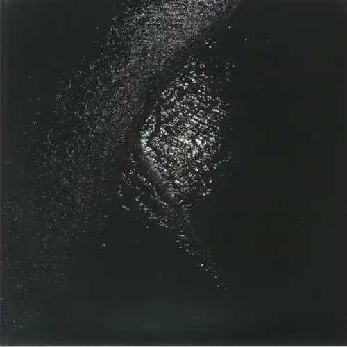 GIGI MASIN / ジジ・マシン / IMPLODENDO IN UNA ACCECANTE OSCURITA' (PT.2 ) BLACK VINYL