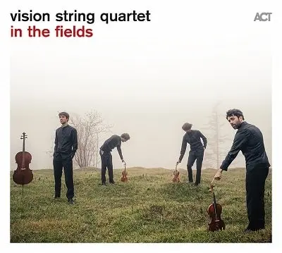 VISION STRING QUARTET / ヴィジョン弦楽四重奏団 / イン・ザ・フィールズ