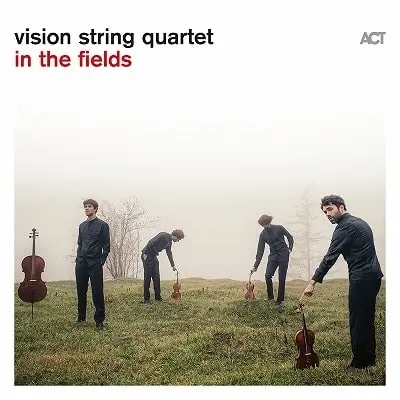VISION STRING QUARTET / ヴィジョン弦楽四重奏団 / イン・ザ・フィールズ(LP)