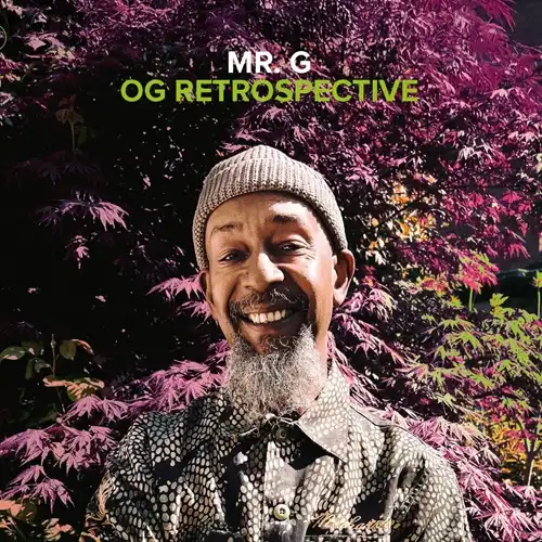 MR.G / ミスター・ジー / OG RETROSPECTIVE [BOX]6LP