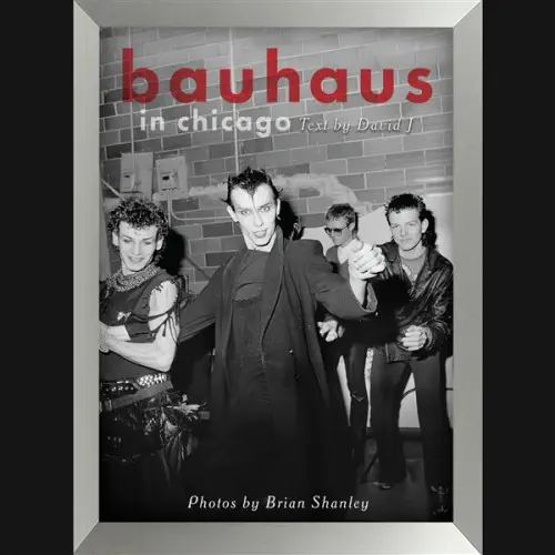 DAVID J / デヴィッドJ / BAUHAUS IN CHICAGO (PHOTO BY BRIAN SHANLEY)