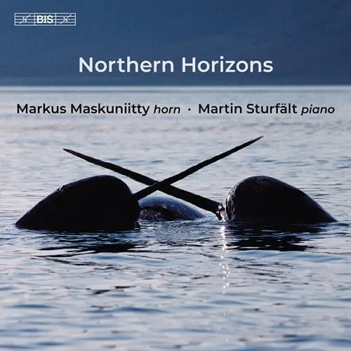 MARKUS MASKUNIITTY / マルクス・マスクニッティ / NORTHERN HORIZONS