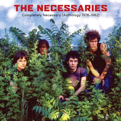 NECESSARIES (ARTHUR RUSSEL) / COMPLETELY NECESSARY (ANTHOLOGY 1978-1982) (3LP)