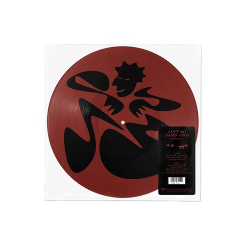 KAYTRANADA / ケイトラナダ商品一覧｜HIPHOP / 日本語RAP｜ディスク