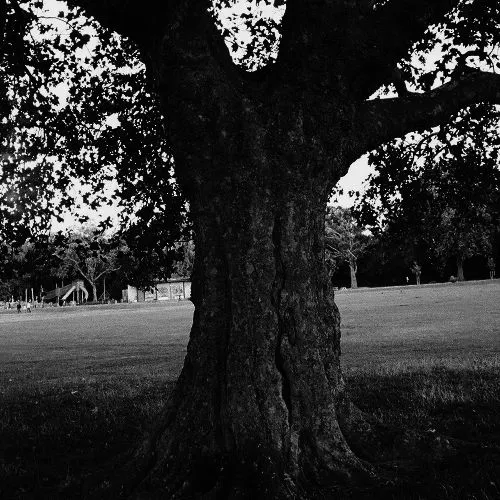 ARCHY MARSHALL / アーチー・マーシャル / A NEW PLACE 2 DROWN (INSTRUMENTALS)