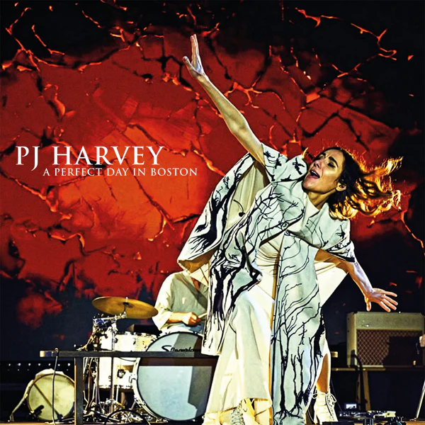 PJ HARVEY / PJ ハーヴェイ商品一覧｜JAZZ｜ディスクユニオン