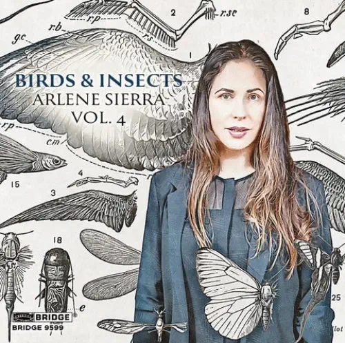 STEVEN BECK / スティーヴン・ベック / ARLENE SIERRA:BIRDS & INSECTS