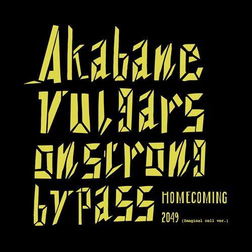 AKABANE VULGARS ON STRONG BYPASS / Homecoming(7インチ)