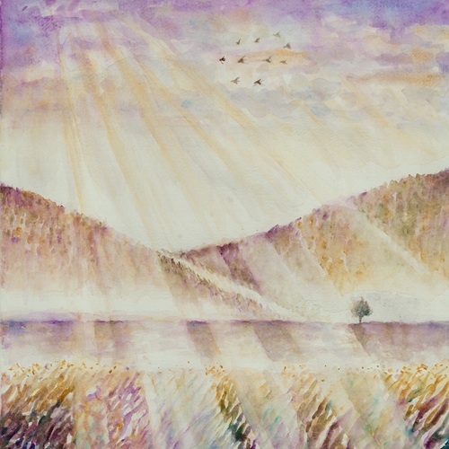 Takeyari Shunta / 武鑓隼太 / Meorika(LP)