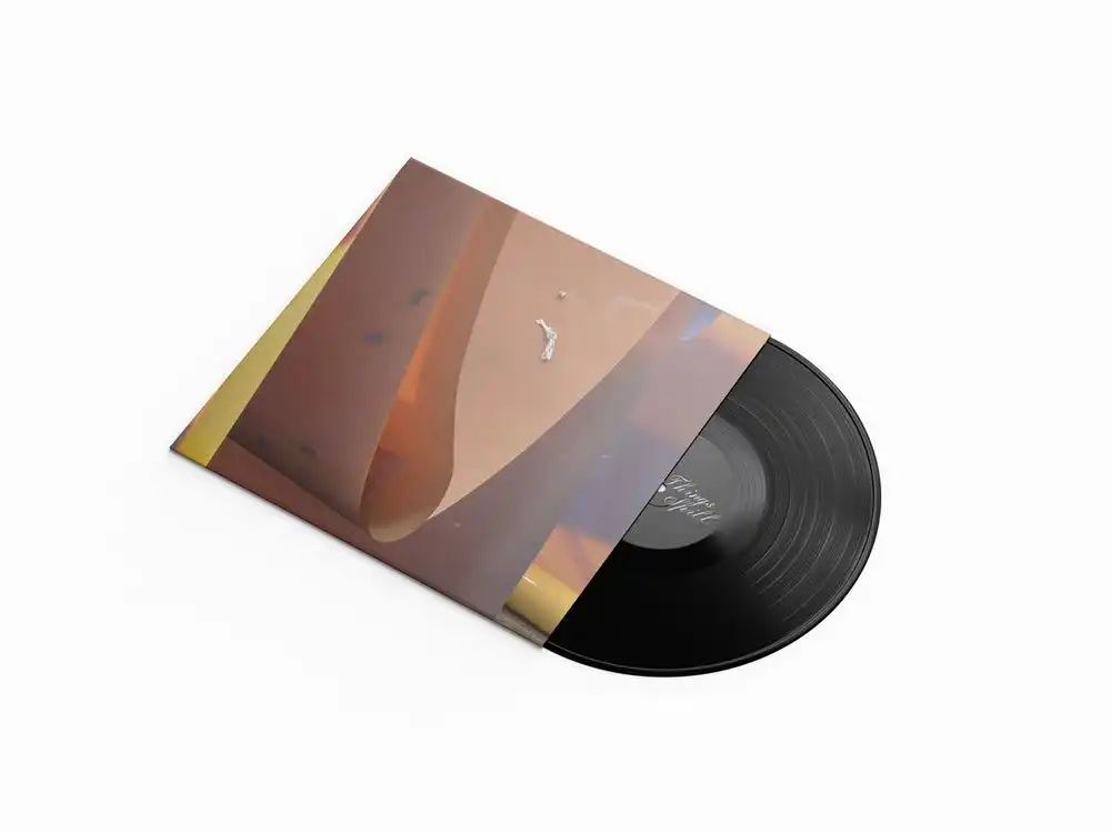 CHANTAL MICHELLE / ALL THINGS MIGHT SPILL [LP - BLACK]