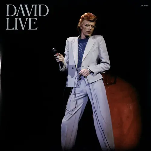 DAVID BOWIE / デヴィッド・ボウイ商品一覧｜OLD ROCK｜ディスク