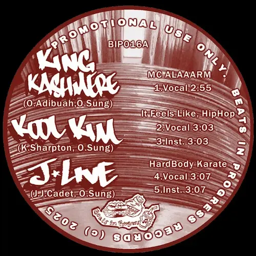 UNDERGROUND (VINYL)｜HIPHOP / 日本語RAP｜ディスクユニオン