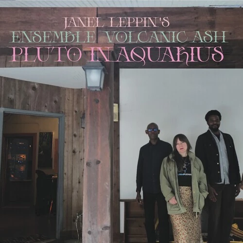 JANEL LEPPIN / Pluto in Aquarius