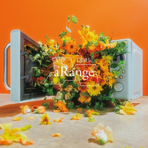 DISH//商品一覧｜ディスクユニオン・オンラインショップ｜diskunion.net