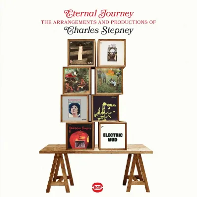 V.A. (ETERNAL JOURNEY) / ETERNAL JOURNEY - THE ARRANGEMENTS AND PRODUCTIONS OF CHARLES STEPNEY (2LP)