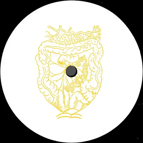 SCAM DUST / GASTRIC PULSE