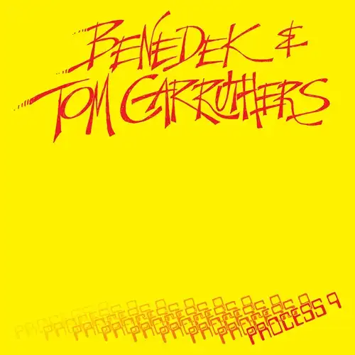 BENEDEK & TOM CARRUTHERS / PROCESS 9 (LP)