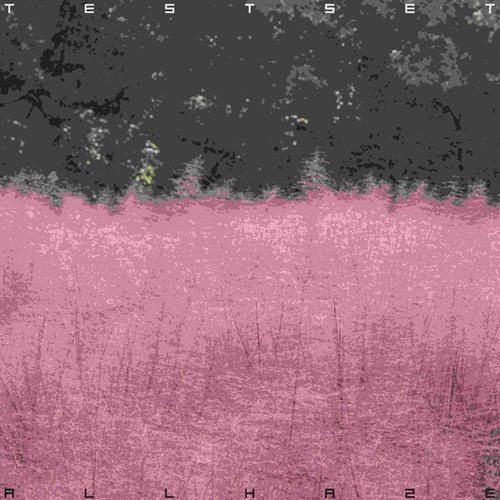 TESTSET / ALL HAZE (Pink Color Vinyl)