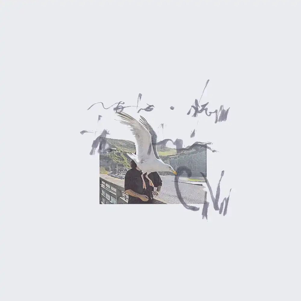 CIRO VITIELLO / NOTES FROM THE AIR [LP]