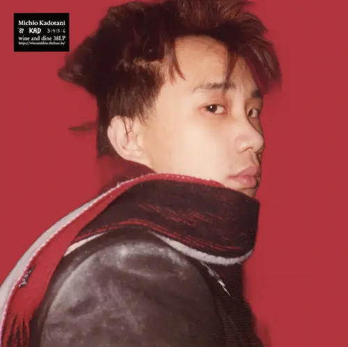 TDI パーフェクトハーモニー フォトCD 「トニック」微キズ【90年代】 TDI パーフェクトハーモニー フォトCD 「トニック」微キズ【90年代