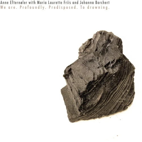 ANNE EFTERNOLER / We Are Profoundly Predisposed To Drowning