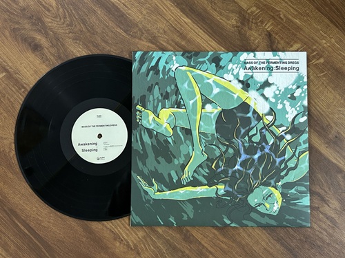 アナログ盤｜JAPANESE ROCK・POPS / INDIES｜ディスクユニオン