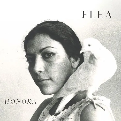 FLEA (RED HOT CHILI PEPPERS) / フリー / HONORA / オノラ