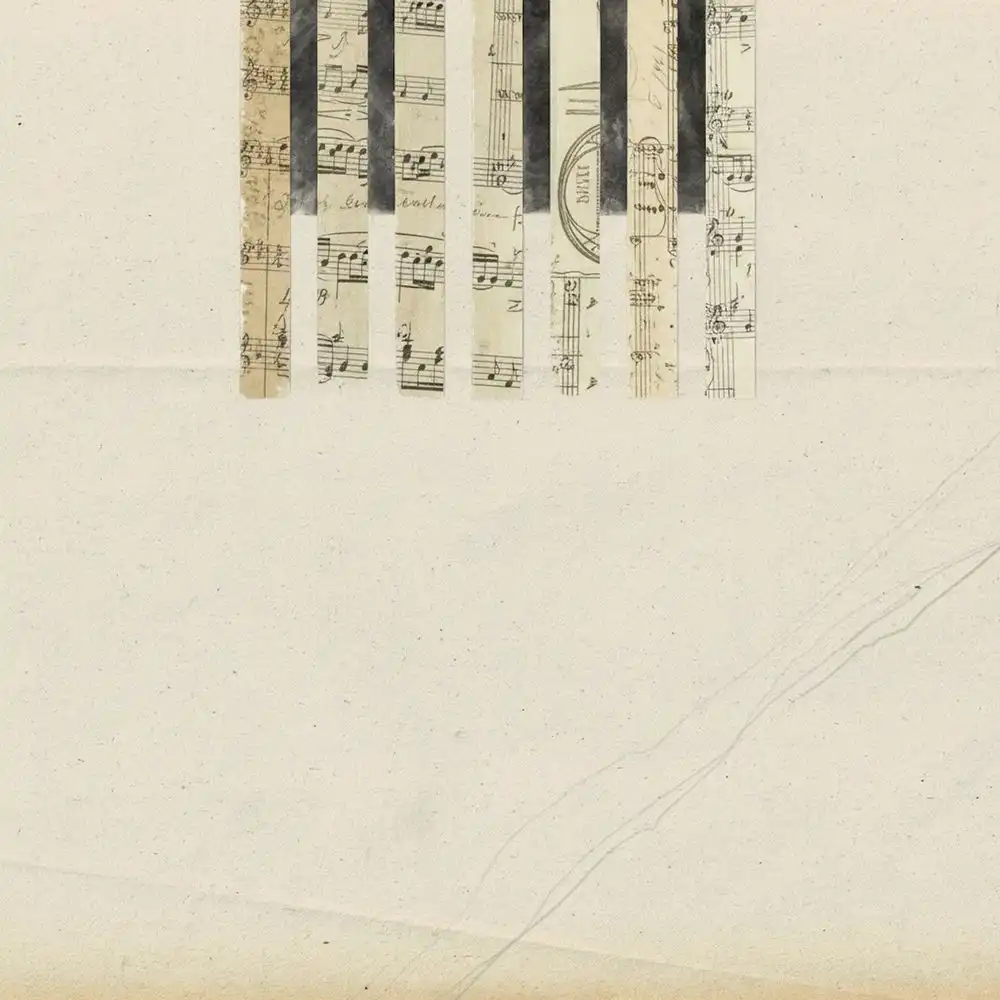 COH & WLADIMIR SCHALL / COVERS [LP]