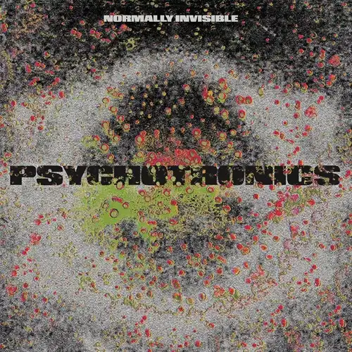 NORMALLY INVISIBLE / PSYCHOTRONICS
