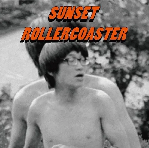 SUNSET ROLLERCOASTER / サンセット・ローラーコースター / BOSSA NOVA (LP)