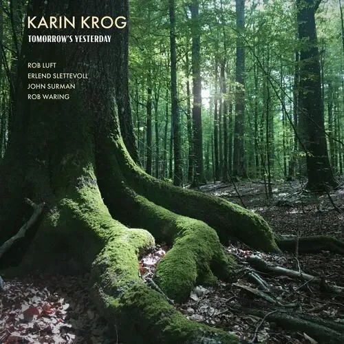 KARIN KROG / カーリン・クローグ商品一覧｜JAZZ｜ディスクユニオン