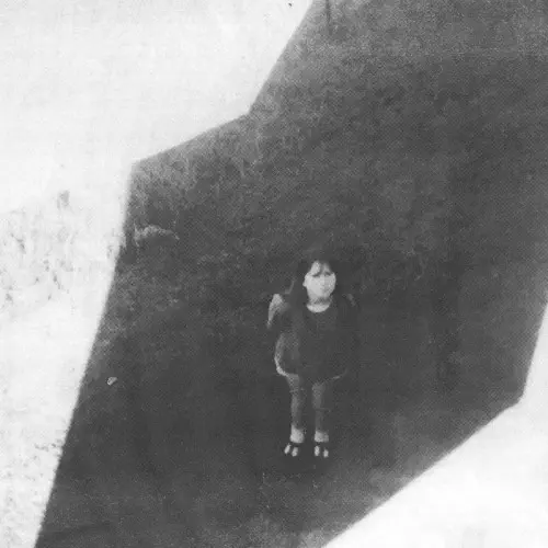 FIELD COMMANDER ALI / THE NEXT FROM FIELD COMMANDER