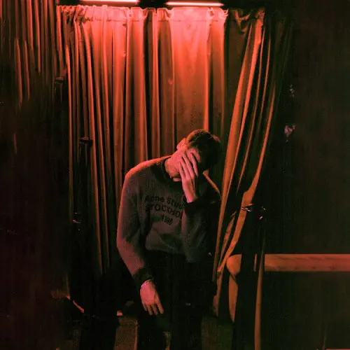 DAN WHITLAM / STRANGERS (AGAIN) (LP)