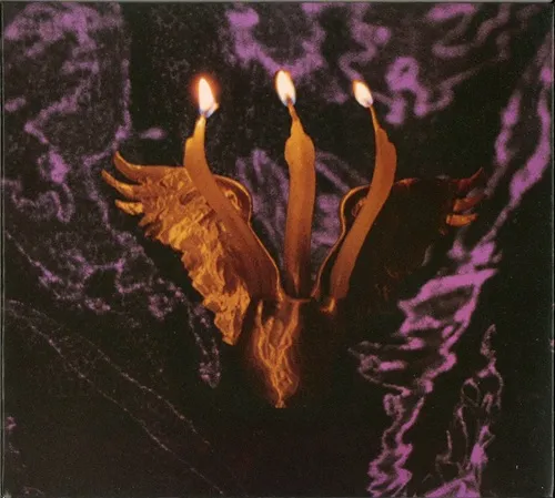 SHMULIKRAUT / GUTS VOYAGE