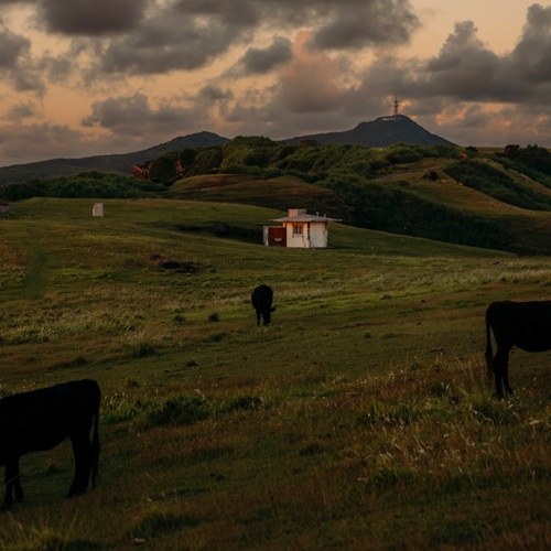 Koki / 光季 / 一夏熱想