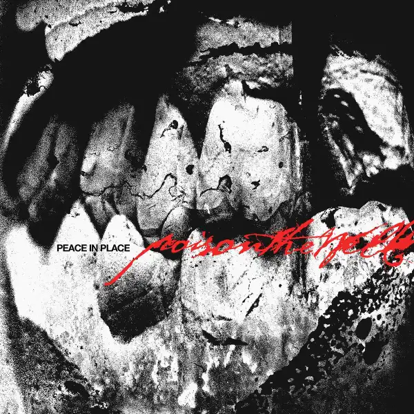 FAB 汚染された井戸/Poison the Well DTD RF英語版2枚 POISON THE