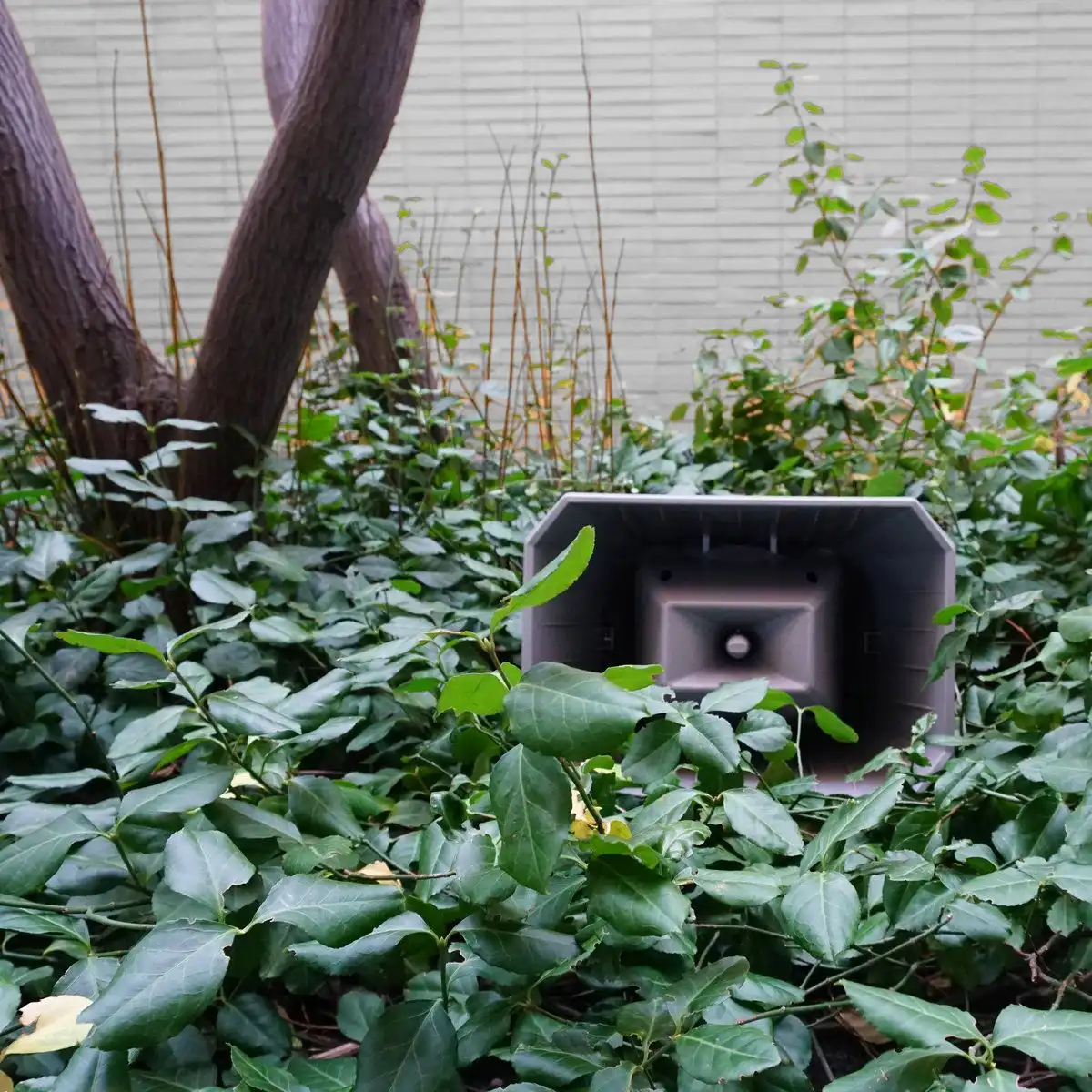 JASMINE GUFFOND / MUZAK FOR THE ENCOURAGEMENT OF UNPRODUCTIVITY