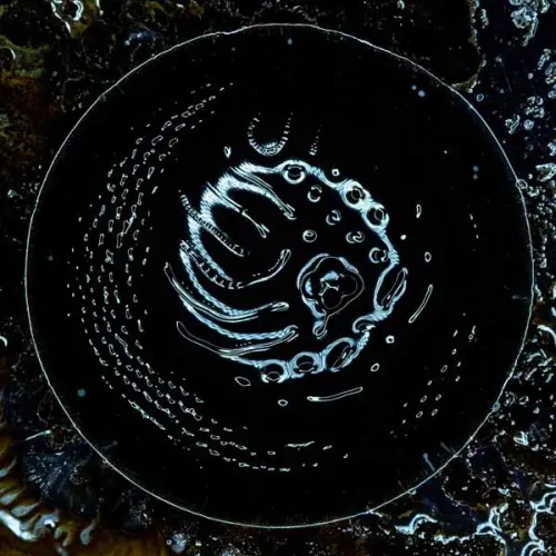 STONUS / SPACE TO DIVE