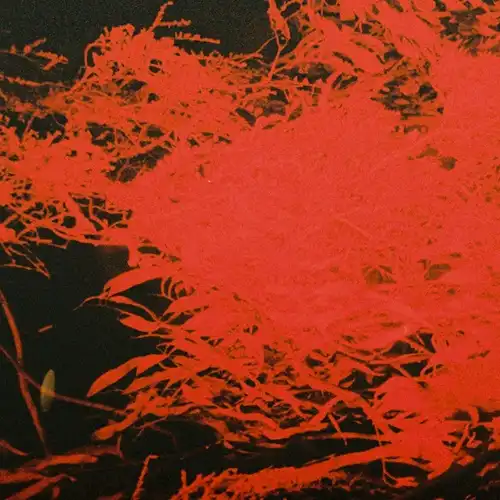 ANTHONY NAPLES / アンソニー・ネイプルズ / IN STUDIO MAGIC (LP)