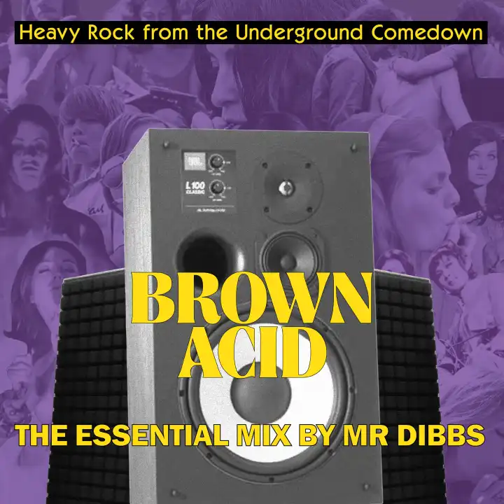 V.A. (BROWN ACID) / BROWN ACID "THE ESSENTIAL MIX" BY MR. DIBBS (CD)