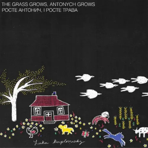 LUKA KUPLOWSKY / THE GRASS GROWS, ANTONYCH GROWS